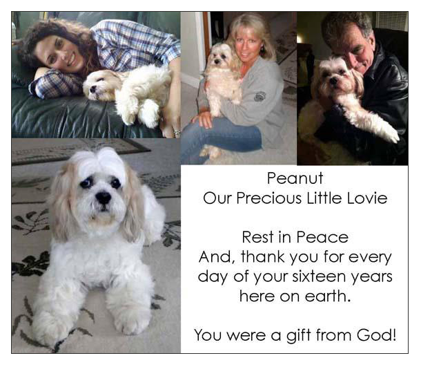 Our pet memorial to Peanut
