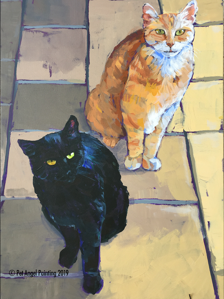 Orange tabby and black cats